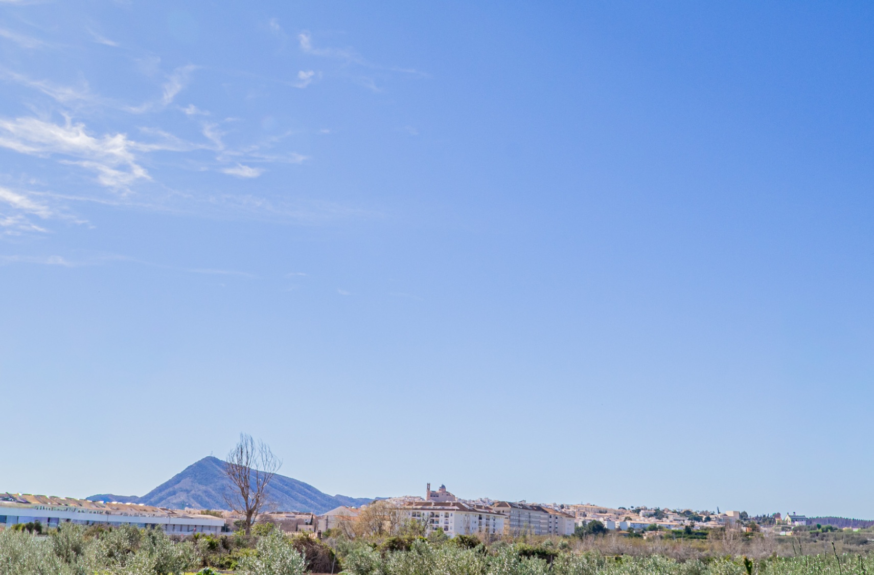 RUSTIC FARM FOR SALE IN ALTEA