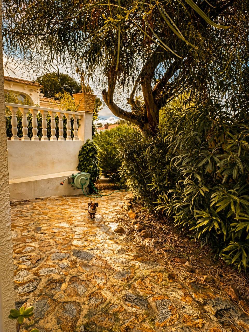 STEDENLIJK PERCEEL TE KOOP IN EL ALBIR