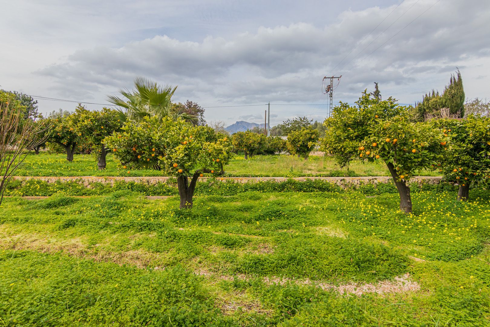 Vente. Villa à Altea