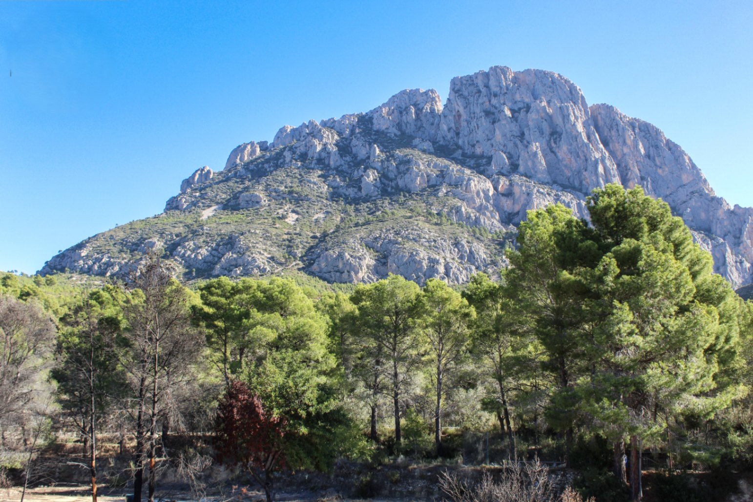 CHALET | VILLA EN VENTA EN FINESTRAT