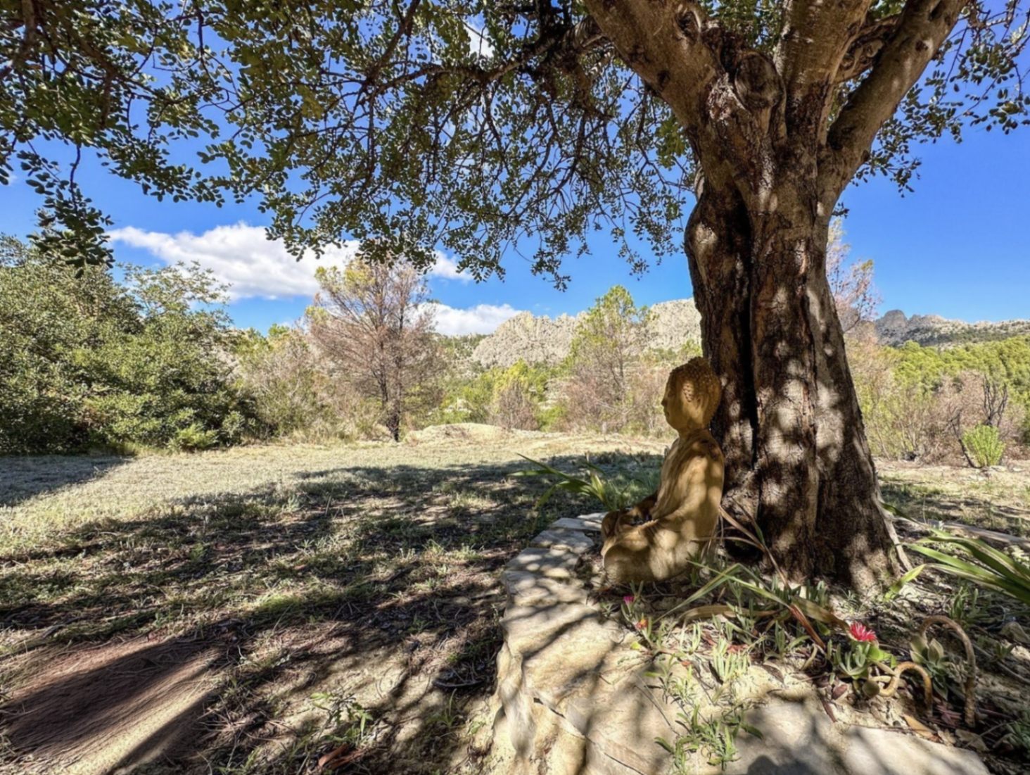 CHALET | VILLA EN VENTA EN FINESTRAT