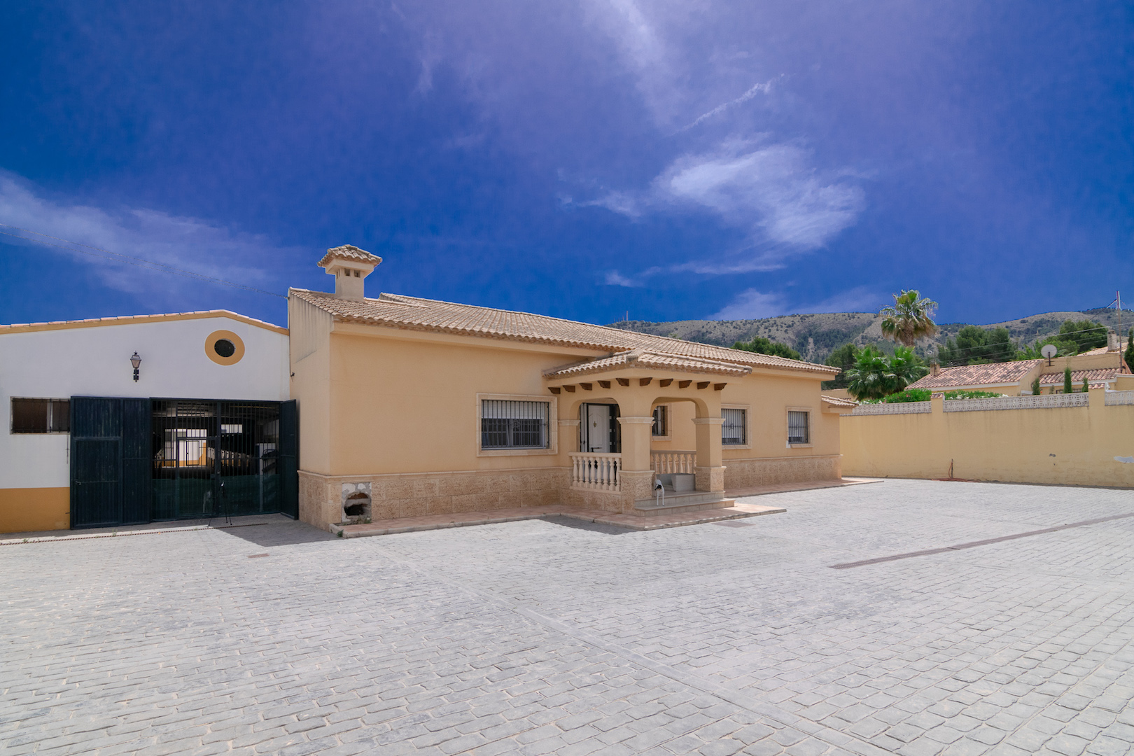 FINCA WITH STABLES AND BULLRING FOR SALE IN EL ALBIR
